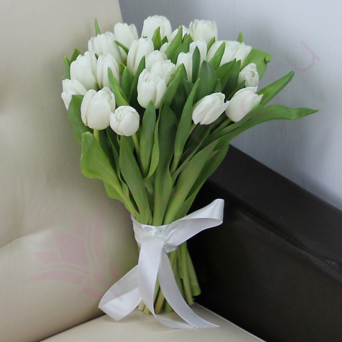 

FLORPRO 25 белых тюльпанов, 25 белых тюльпанов
