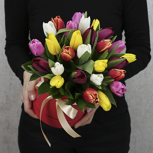 

FLORPRO 25 тюльпанов микс в коробке, 25 тюльпанов микс в коробке