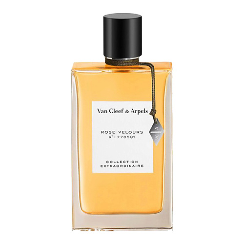 

VAN CLEEF Rose Velours 75, Rose Velours
