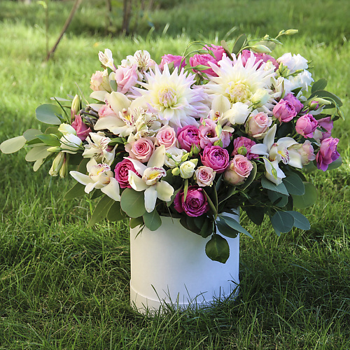 

FLORPRO Василиса, Василиса