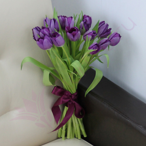 

FLORPRO 15 фиолетовых тюльпанов, 15 фиолетовых тюльпанов