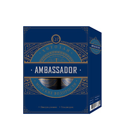 Подарочный набор Мужской (Шампунь для волос + гель для душа) Ambassador