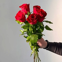 Букет из 5 красных роз (Кения) 20 см 50 см