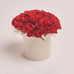 Букет из 31 красной розы