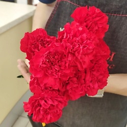 Букет из гвоздик, 9 шт., 25х50 см