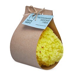 Натуральная морская губка для тела