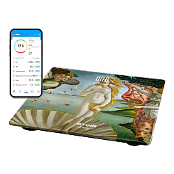 Умные диагностические весы ST-SC5002B
