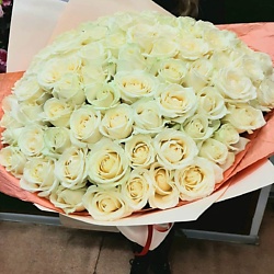 Букет из 51 белой розы