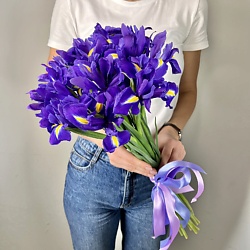 Букет из ирисов 15 шт.