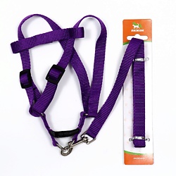 Комплект "Базис"