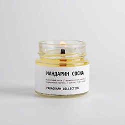 Свеча ароматическая "Мандарин Сосна"