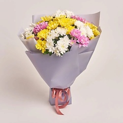 Букет из 11 разноцветных кустовых хризантем в матовой упаковке