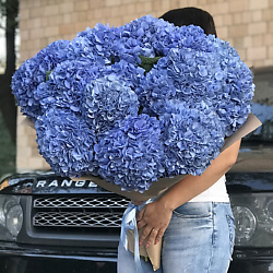 Голубое небо