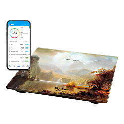 Умные диагностические весы ST-SC5002B
