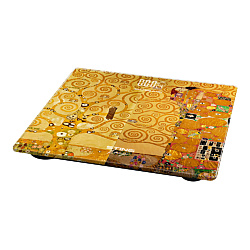 Умные диагностические весы ST-SC5001A