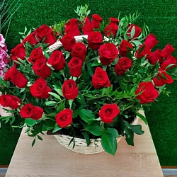 Корзина из 51 бордовой розы с зеленью