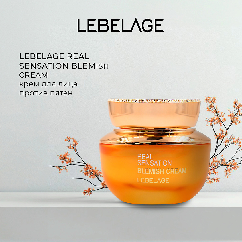 LEBELAGE Крем от пигментных пятен REAL SENSATION BLEMISH CREAM купить ...