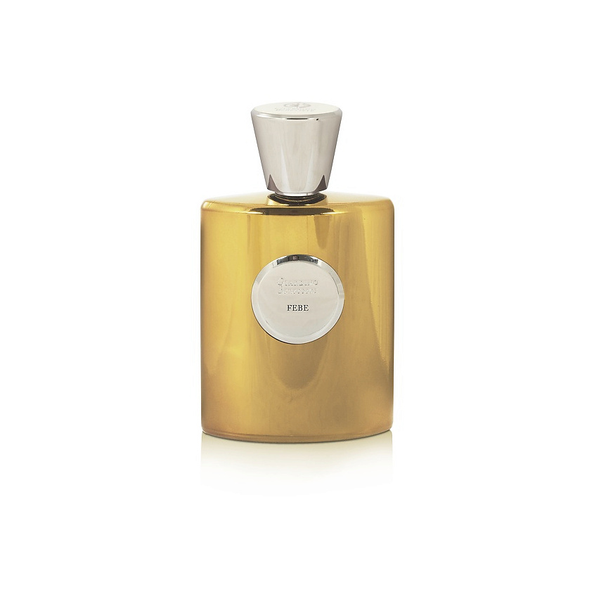 Изображение товара Духи GIARDINO BENESSERE Febe 100 мл унисекс аромат фруктово-цветочный древесный