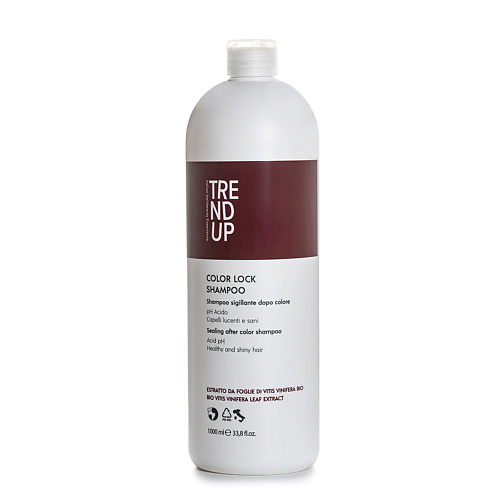 TREND UP Профессиональный шампунь после окрашивания Color Lock Shampoo 3000₽