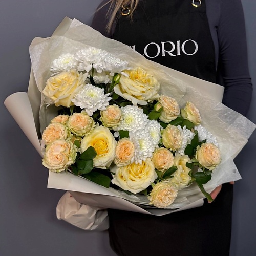 

FLORIO Солнце Голландии, Солнце Голландии
