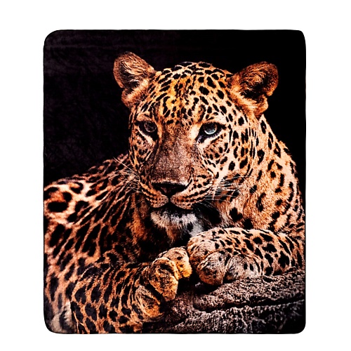 

ARYA HOME COLLECTION Плед с принтом 150X200 Chita, Плед с принтом 150X200 Chita