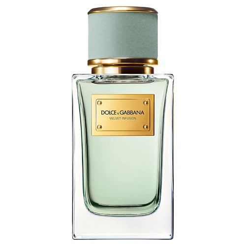 

DOLCE&GABBANA Velvet Infusion 100, Velvet Infusion