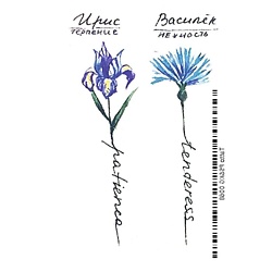 Временная переводная татуировка Tattoo PS&KG-068