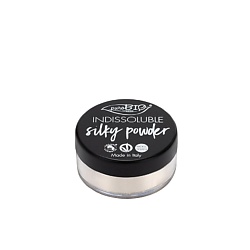Пудра шелковая 01 Silky Powder