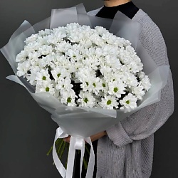 Монобукет из 15 кустовых хризантем