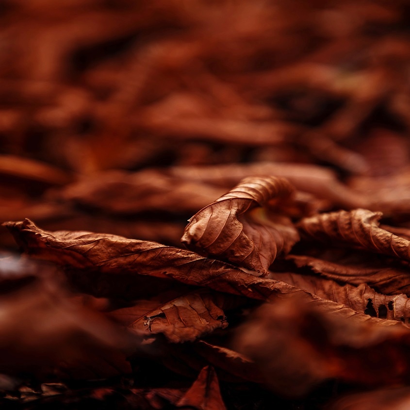 AKRO Smoke – фото 4