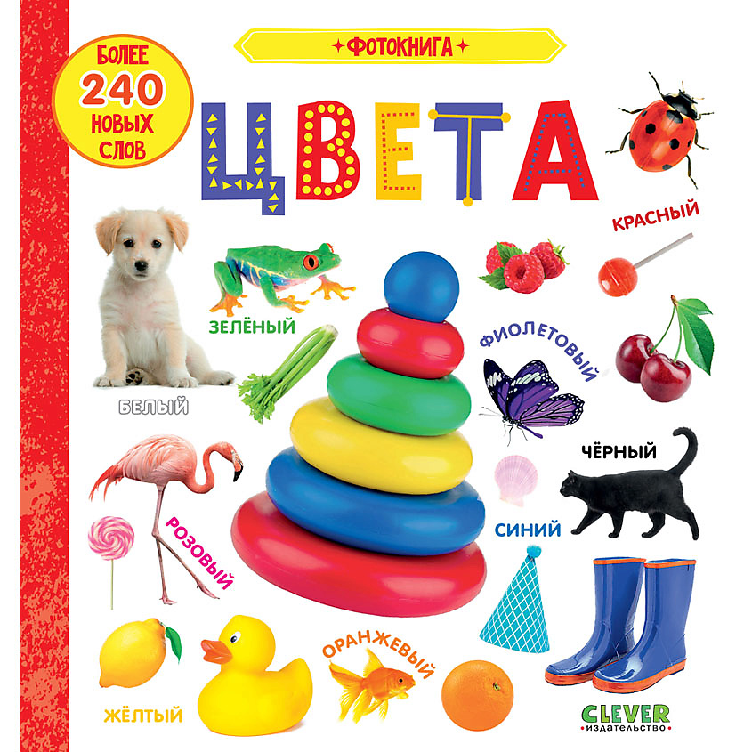 Изображение товара CLEVER Первые знания фотокнига Цвета для детей от 1 года 24 страницы
