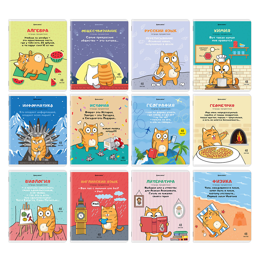 Изображение товара BRAUBERG Тетради предметные КОМПЛЕКТ 12шт КОТ, Комбинированный