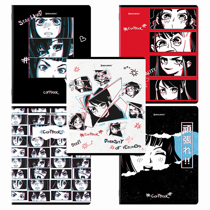 Изображение товара Набор из 5 тетрадей BRAUBERG ДЭК для школьников и офисных сотрудников