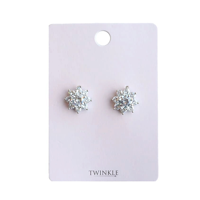 Изображение товара Серьги TWINKLE Silver Stone для женщин недорогие стильные бижутерия