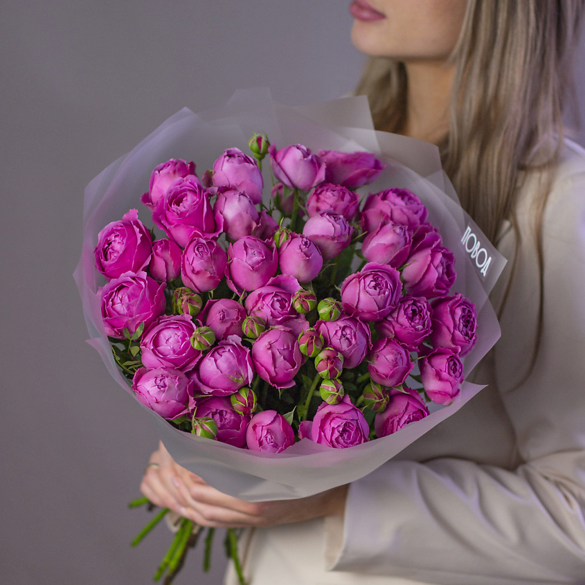 Изображение товара ПОВОД НАЙДЕТСЯ Ламбада, 1 шт.