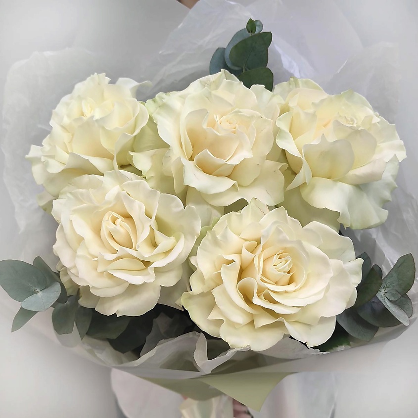 Изображение товара Букет французских роз ТАЛИСМАН ФЛОРА Белый шоколад 1 шт комнатное растение