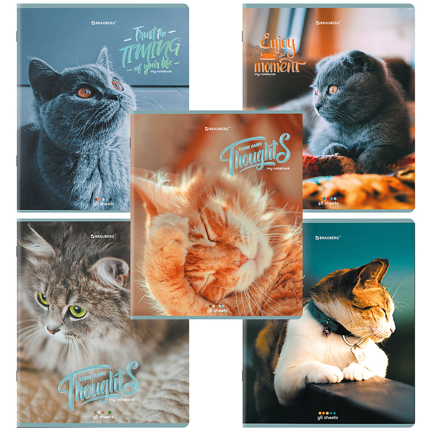 Изображение товара BRAUBERG Тетради Дэк А5 Котики, Комбинированный