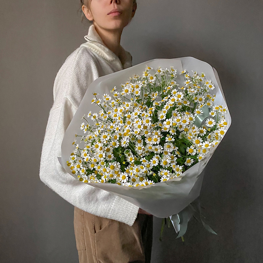 Изображение товара VERESK Букет с полевыми ромашками. Veresk 134, 1 шт.
