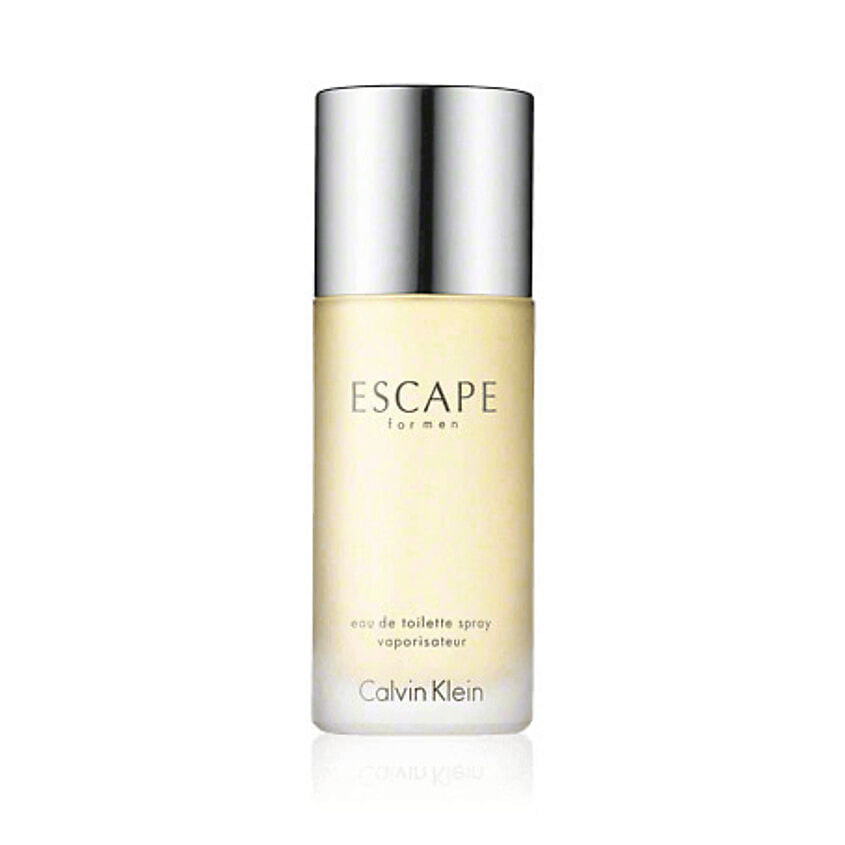 Изображение товара CALVIN KLEIN Туалетная вода Escape for Men, 100 мл