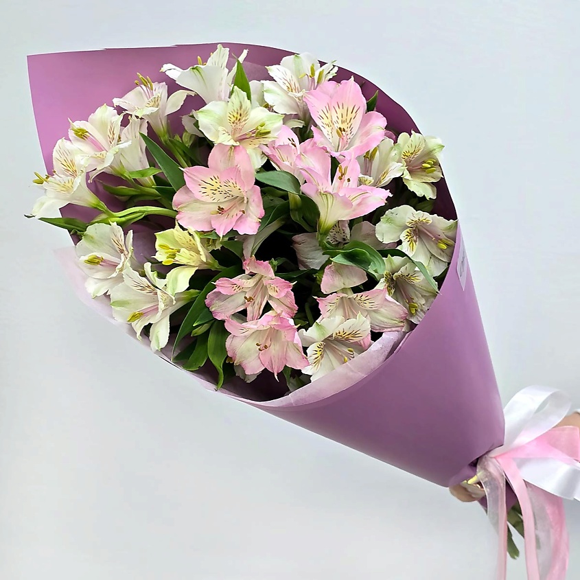 Изображение товара Комнатное растение ТАЛИСМАН ФЛОРА Счастливый миг 1 шт. альстромерия