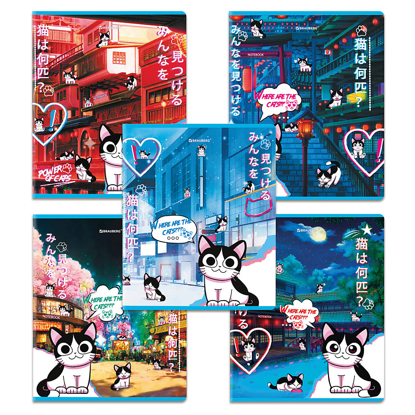 Изображение товара BRAUBERG Тетради Дэк А5 Аниме Кот, Комбинированный