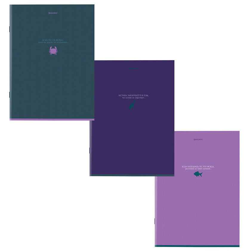 Изображение товара Тетради BRAUBERG Дэк А4 Monocolor 96 листов скоба картон белая бумага