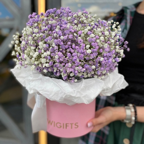 

KIWIGIFTS Букет цветов живые Гипсофилы, Букет цветов живые Гипсофилы