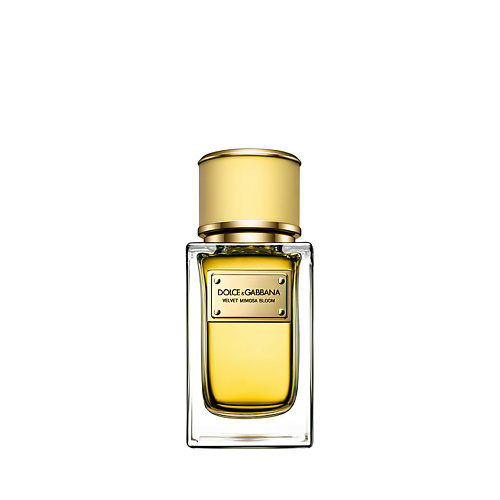 

DOLCE&GABBANA Velvet Collection Mimosa Bloom 50, Velvet Collection Mimosa Bloom