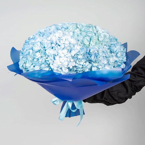 

STUDIO FLORISTIC Букет Гортензий 15 шт «Нежные грёзы», Букет Гортензий 15 шт «Нежные грёзы»