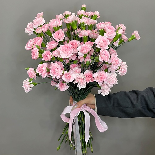 

ELEVEN FLOWERS Кустовая гвоздика, Кустовая гвоздика