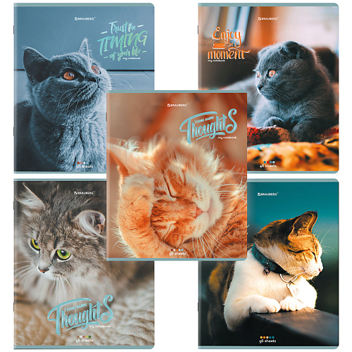 

BRAUBERG Тетради Дэк А5 Котики, Тетради Дэк А5 Котики