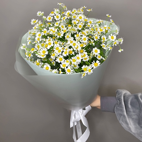 

ELEVEN FLOWERS Яркие ромашки, Яркие ромашки