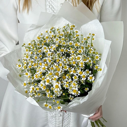 

ART FLORA Нежный букет ромашек, Нежный букет ромашек