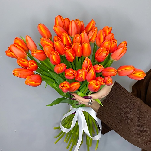 

ELEVEN FLOWERS 51 яркий тюльпан, 51 яркий тюльпан